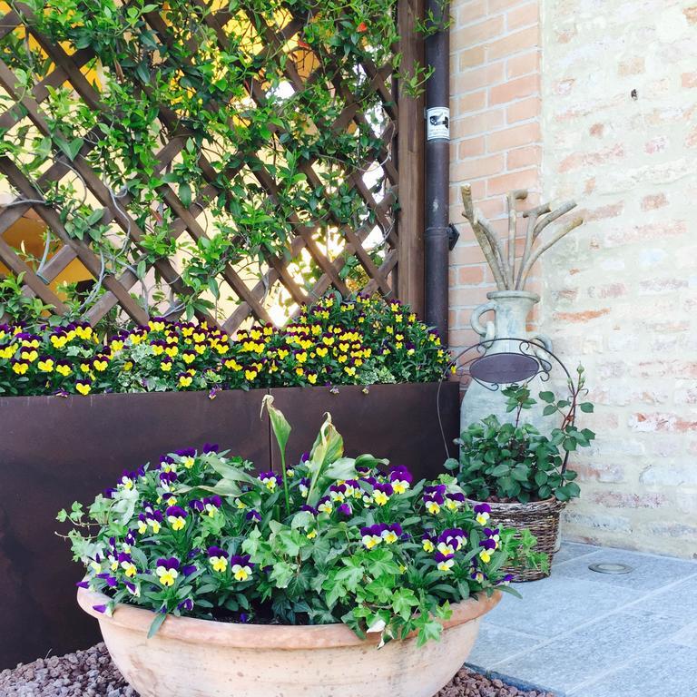 Bed and Breakfast Cascina Cortine Guarene Zewnętrze zdjęcie
