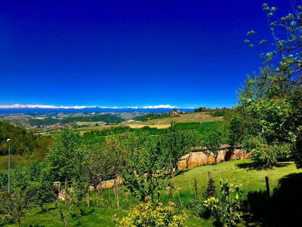 Bed and Breakfast Cascina Cortine Guarene Zewnętrze zdjęcie